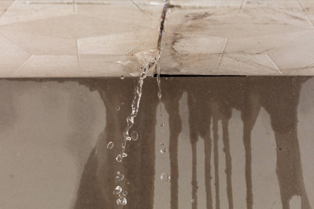 Professional Structural Drying technician working in Hydetown, PA